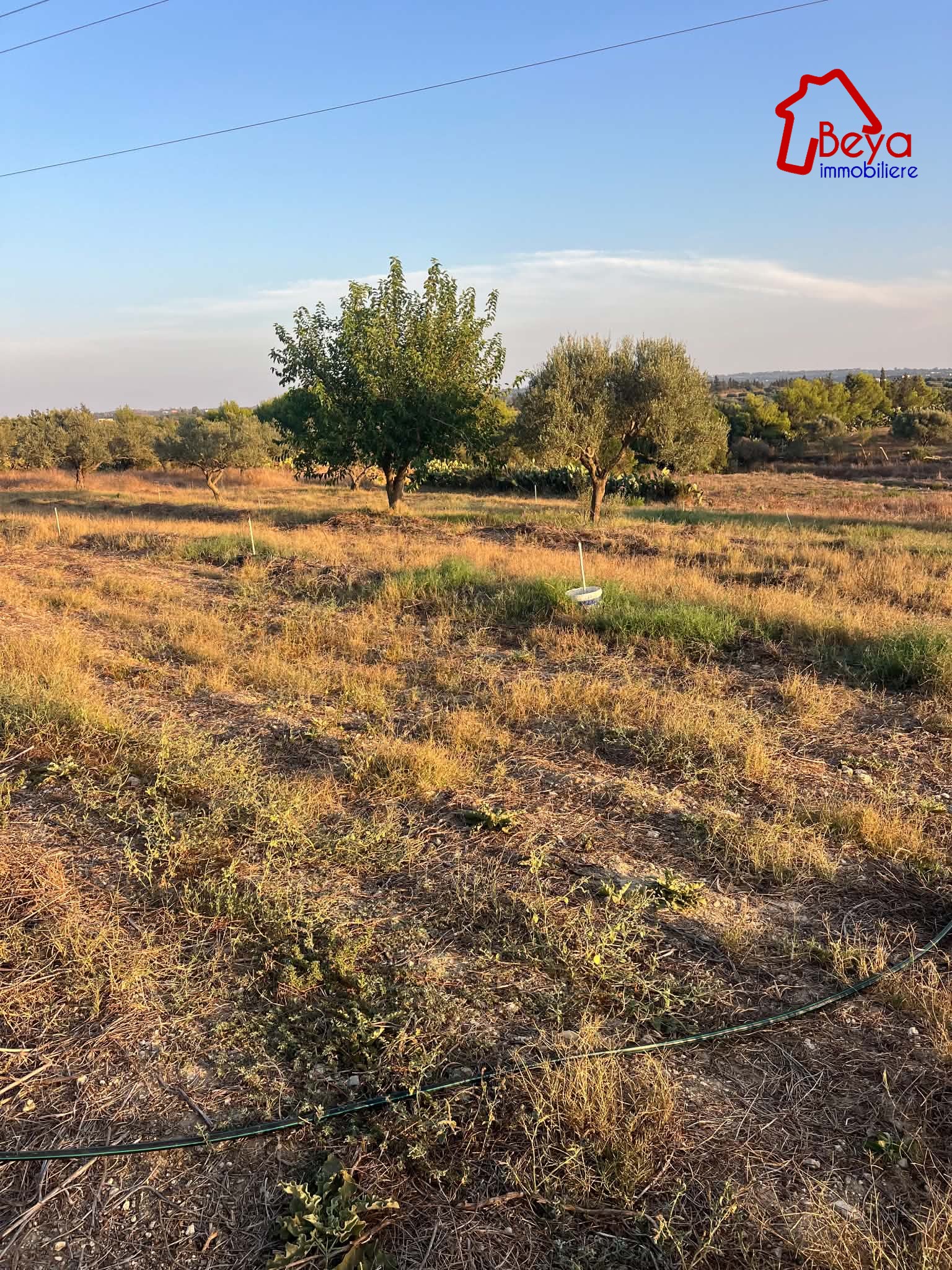 Terrain&nbsp;Terrain agricole