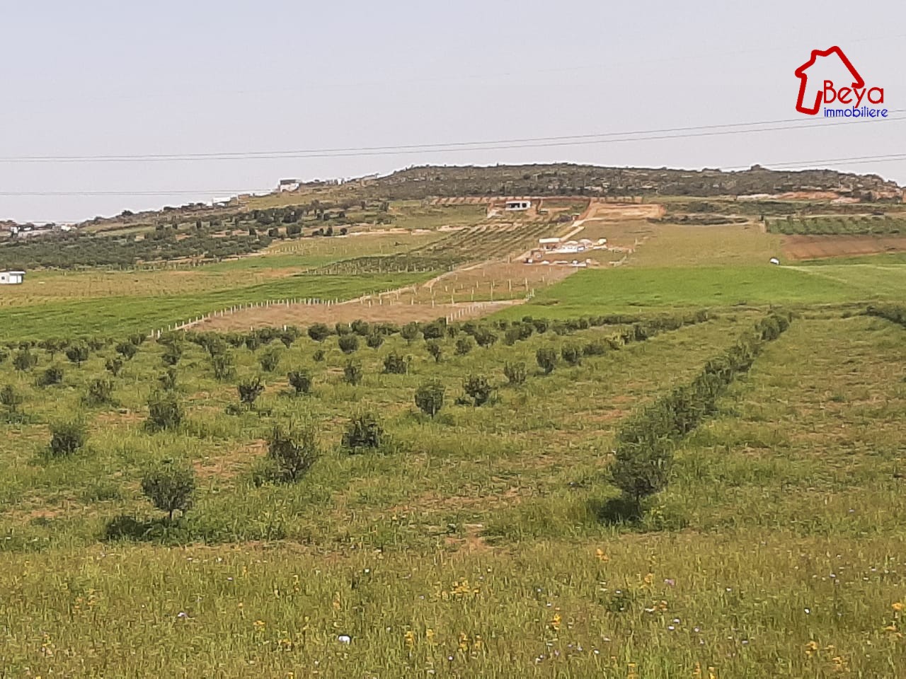 Terrain&nbsp;Terrain agricole