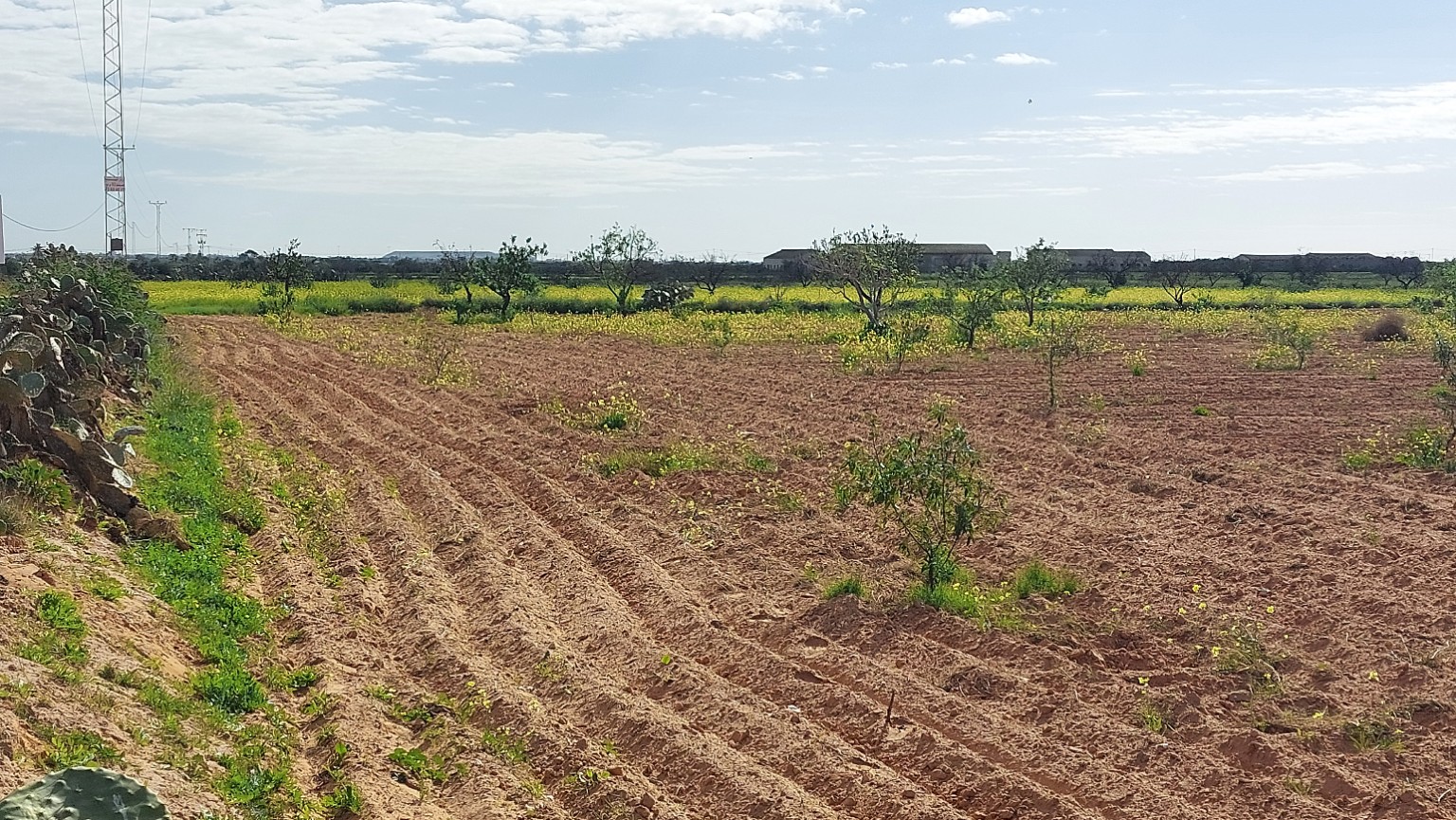 Terrain&nbsp;Terrain agricole