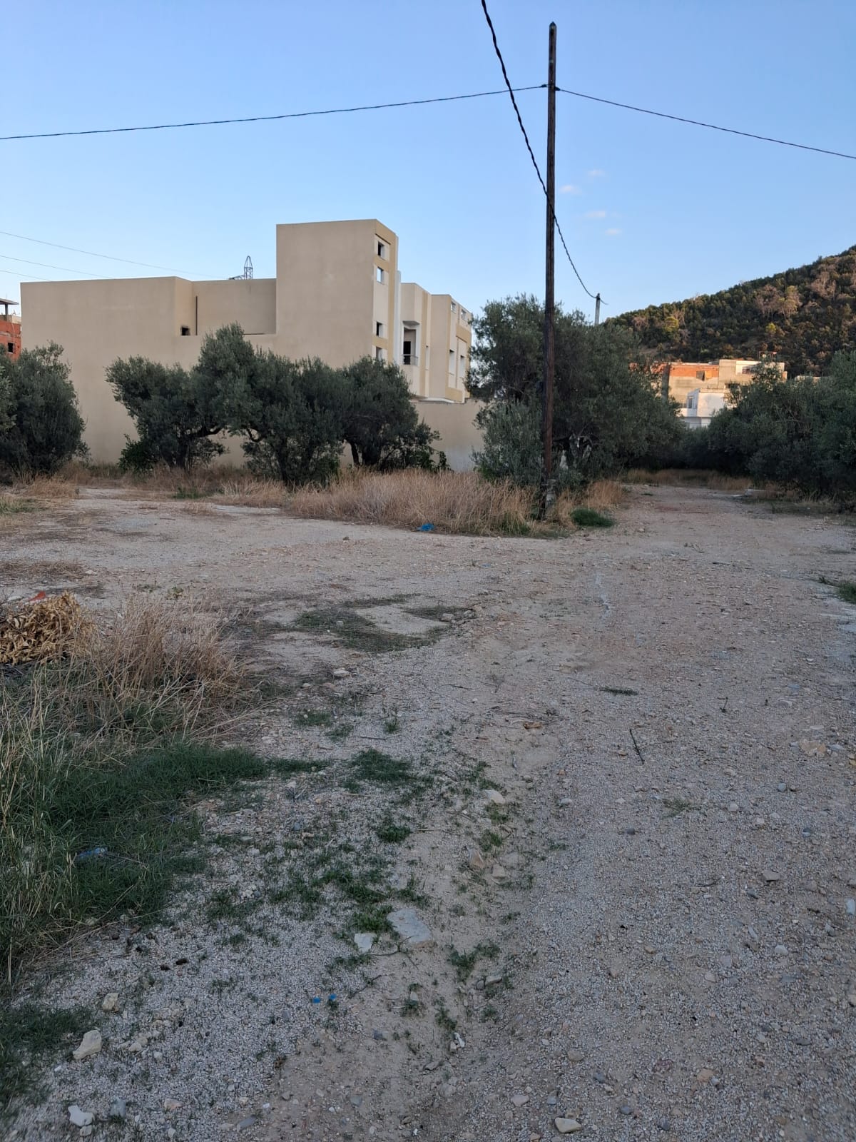 Hammam Lif&nbsp;Hammam Lif&nbsp;Terrain&nbsp;Terrain nu&nbsp;Gps  terrain viabilis� cot� oillybi h lif