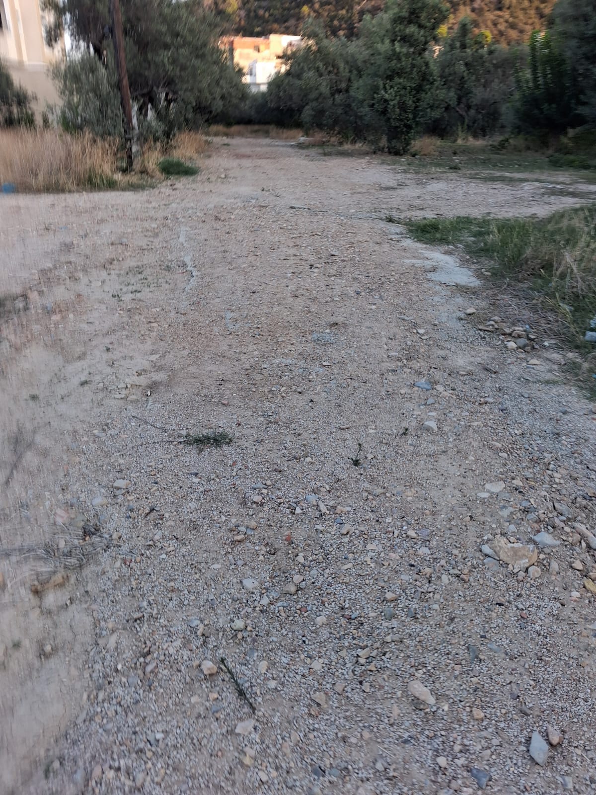 Terrain&nbsp;Terrain nu