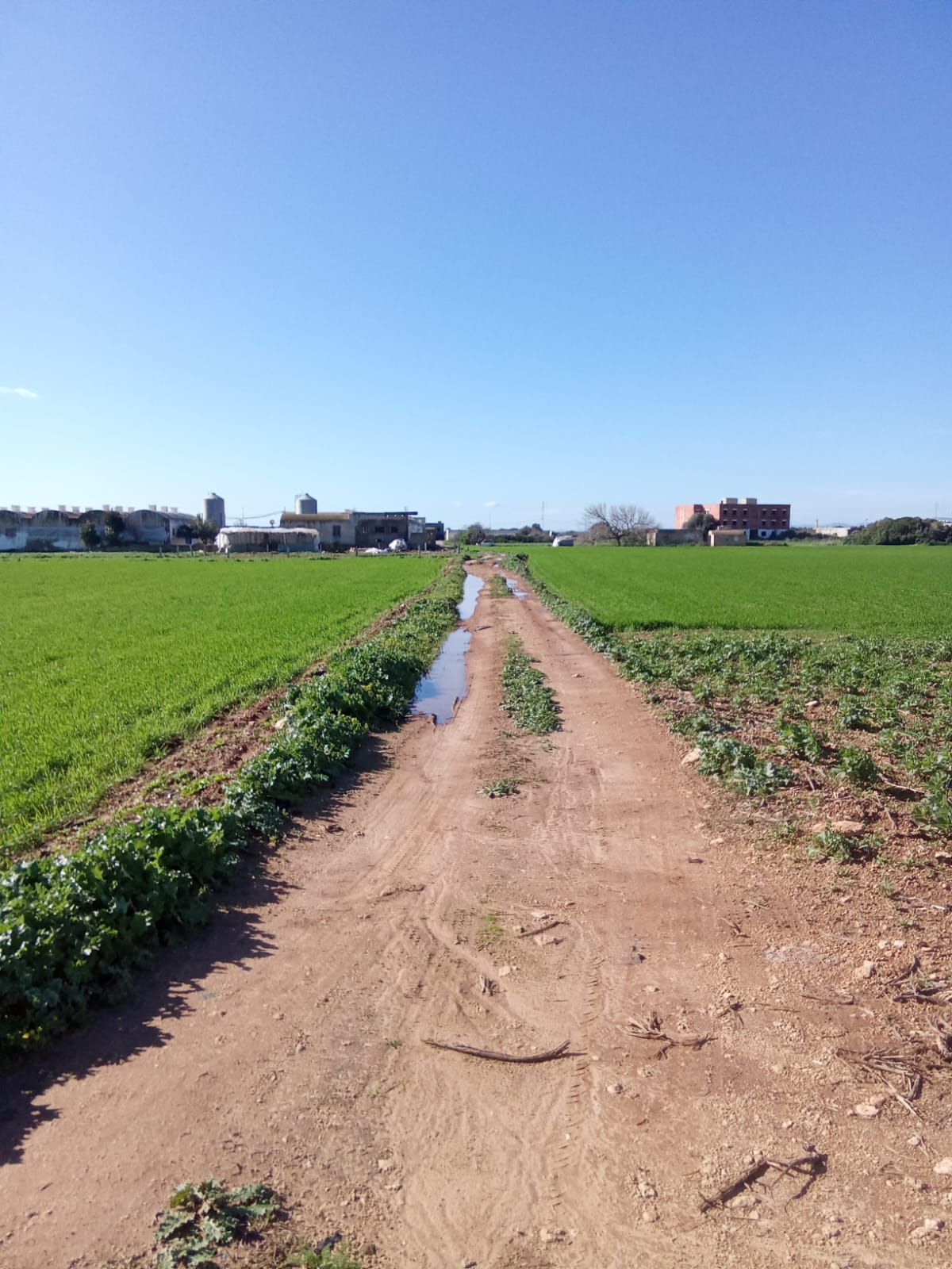 Kelibia&nbsp;Kelibia&nbsp;Terrain&nbsp;Terrain agricole&nbsp;Terrain agricole