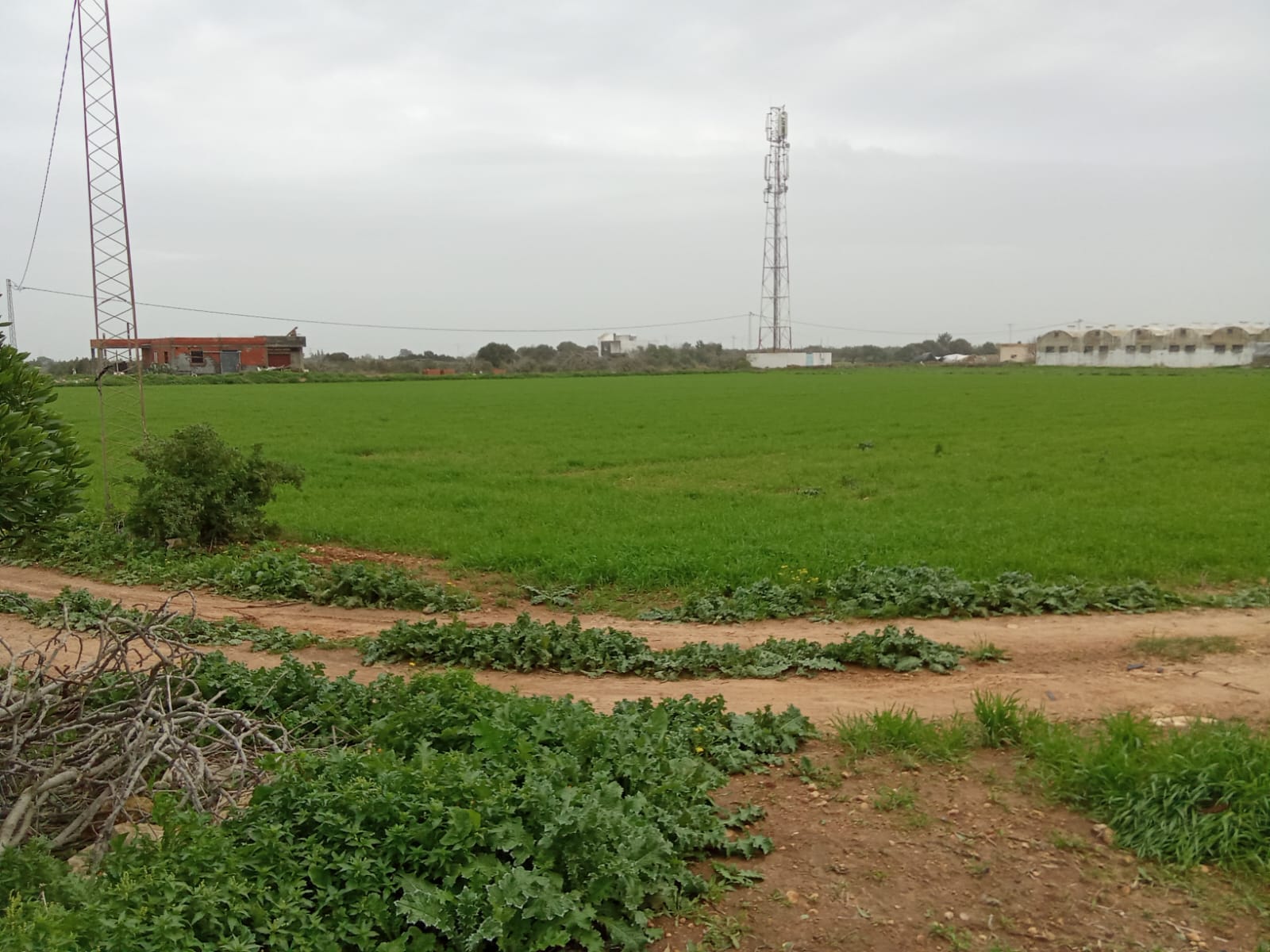 Terrain&nbsp;Terrain agricole