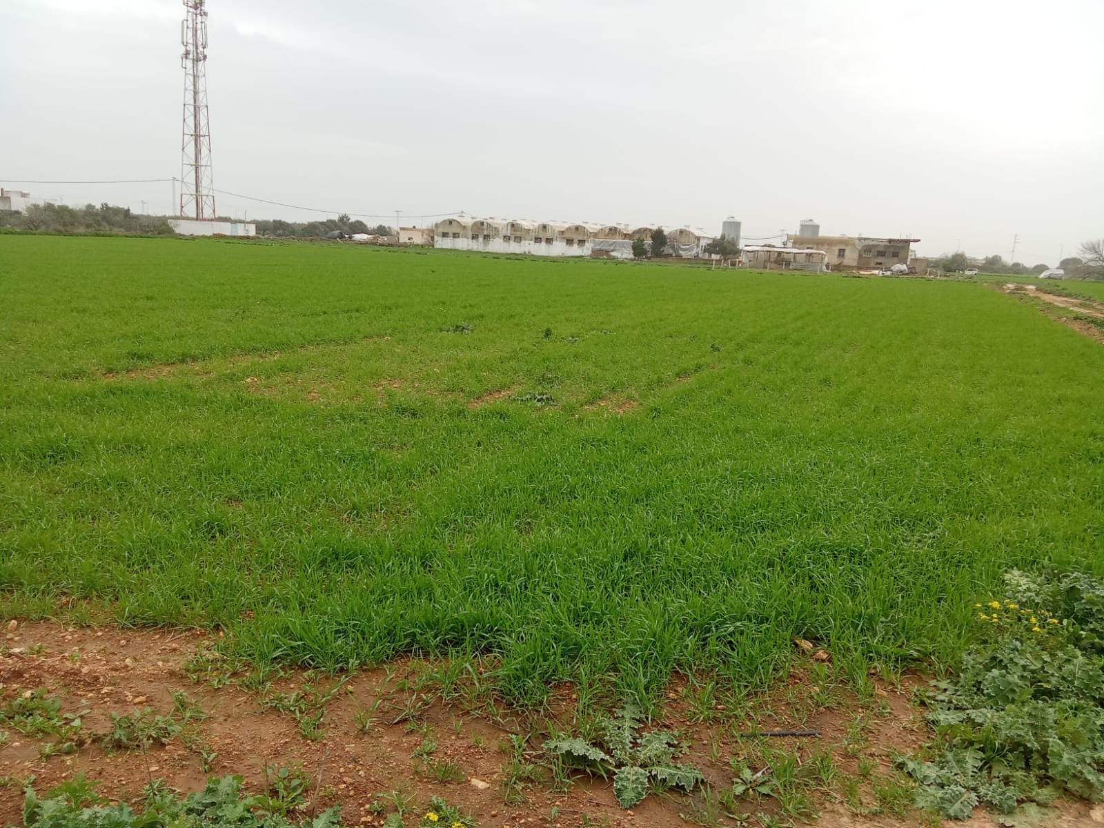 Terrain&nbsp;Terrain agricole
