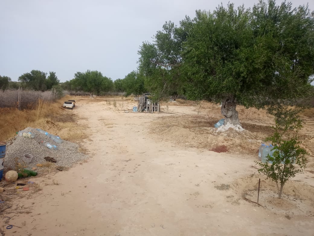 Sousse Riadh&nbsp;Ksibet Sousse&nbsp;Vente&nbsp;Surfaces&nbsp;Terrain agricole