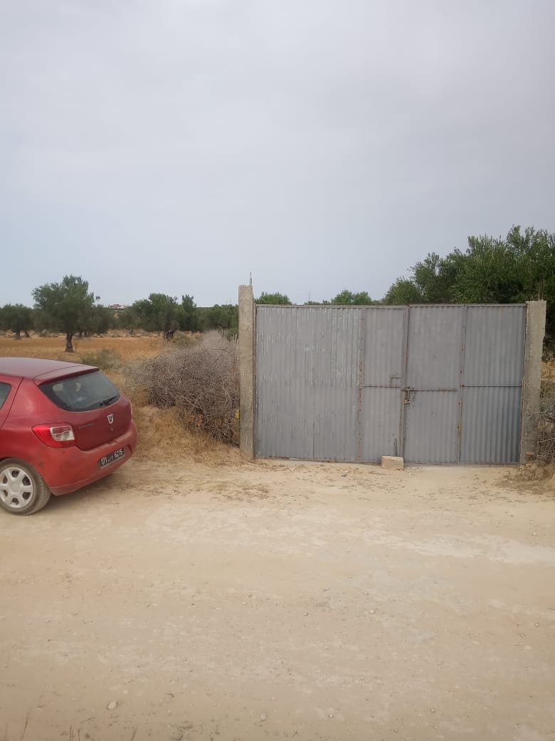 Sousse Riadh&nbsp;Ksibet Sousse&nbsp;Vente&nbsp;Surfaces&nbsp;Terrain agricole