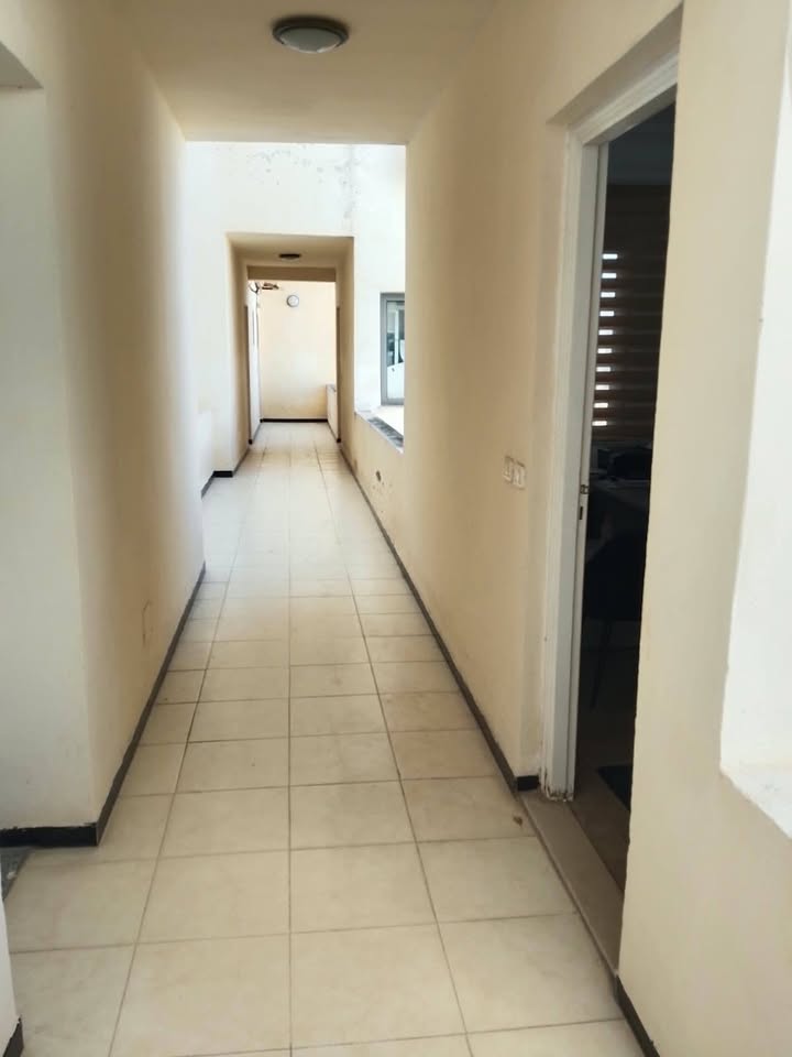 Bab Bhar&nbsp;Bab El Jazira&nbsp;Location&nbsp;Appart. 1 pi�ce&nbsp;Magnifique appartement s0 rue ibn el jazzar tunis