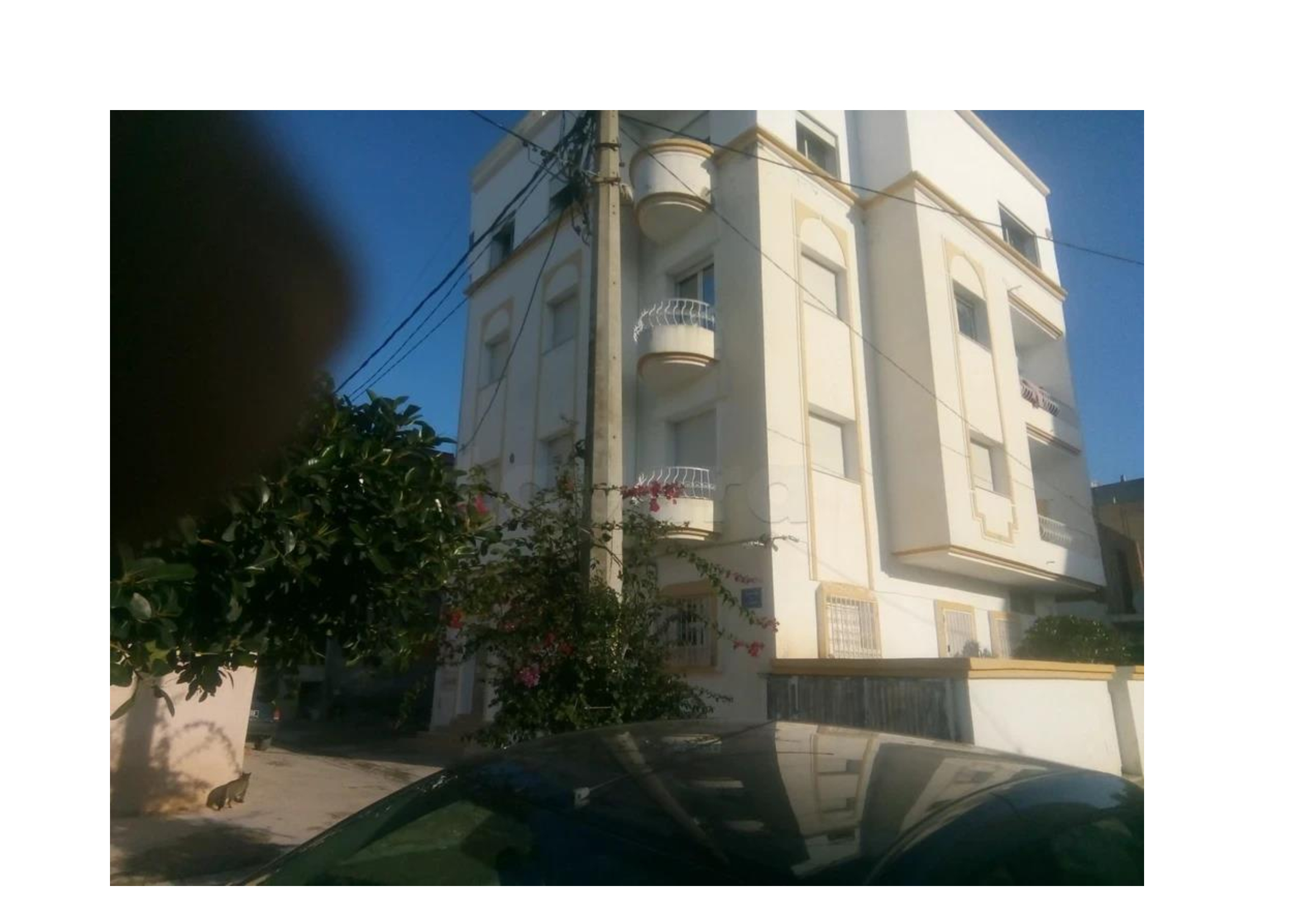 Location&nbsp;Appart. 3 pi�ces