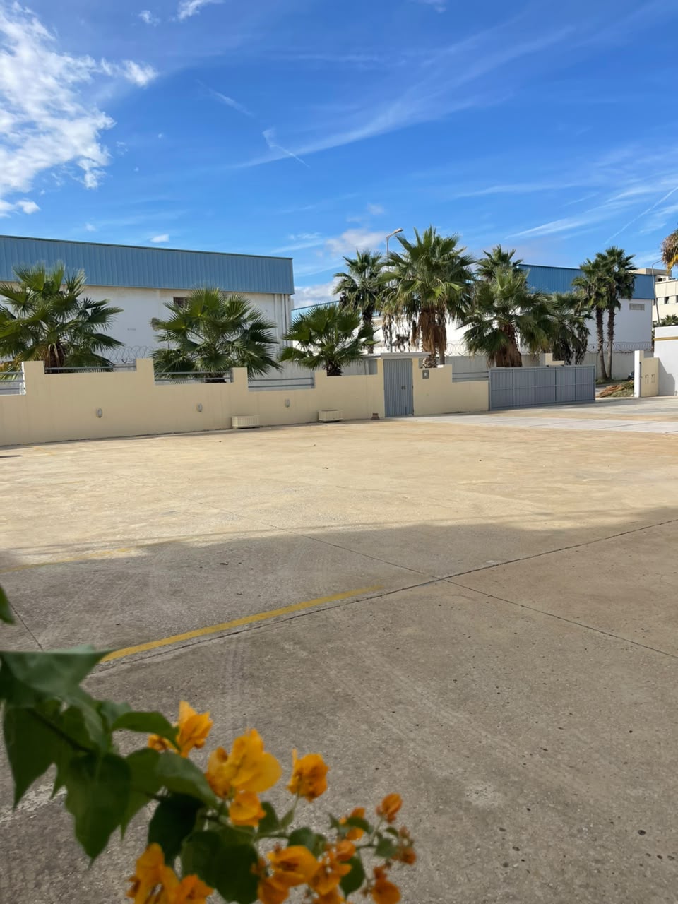 Ariana Ville&nbsp;Ariana&nbsp;Bureaux & Commerces&nbsp;Surfaces&nbsp;B�timent commercial � la technopole de chotrana