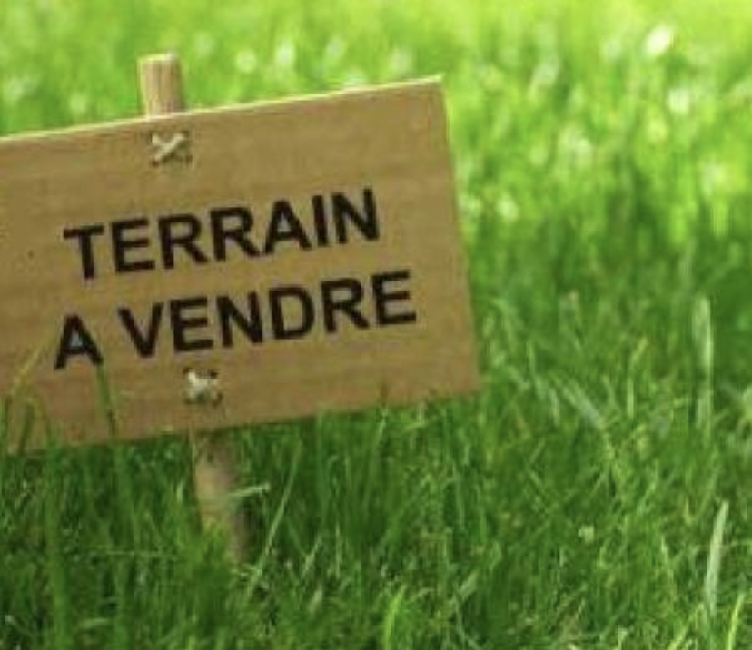 Terrain&nbsp;Terrain nu