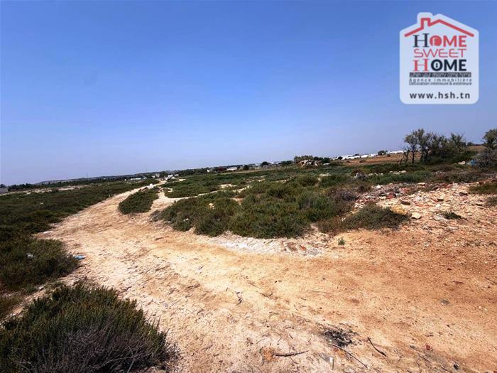 Kelibia&nbsp;Kelibia&nbsp;Terrain&nbsp;Terrain agricole&nbsp;Terrain agricole merolia � el maamoura