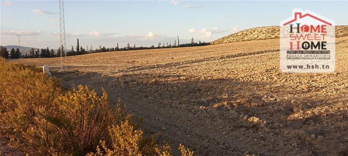Le Kef Est&nbsp;Zaafrane&nbsp;Terrain&nbsp;Terrain agricole&nbsp;Terrain agricole ozyra � zaafrane le kef
