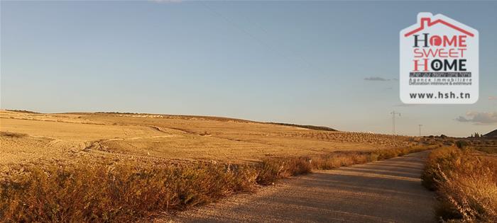 Terrain&nbsp;Terrain agricole