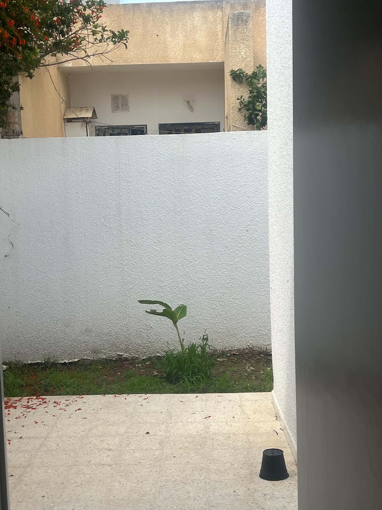 Raoued&nbsp;Raoued&nbsp;Vente&nbsp;Maisons&nbsp;Maison s3 raoued