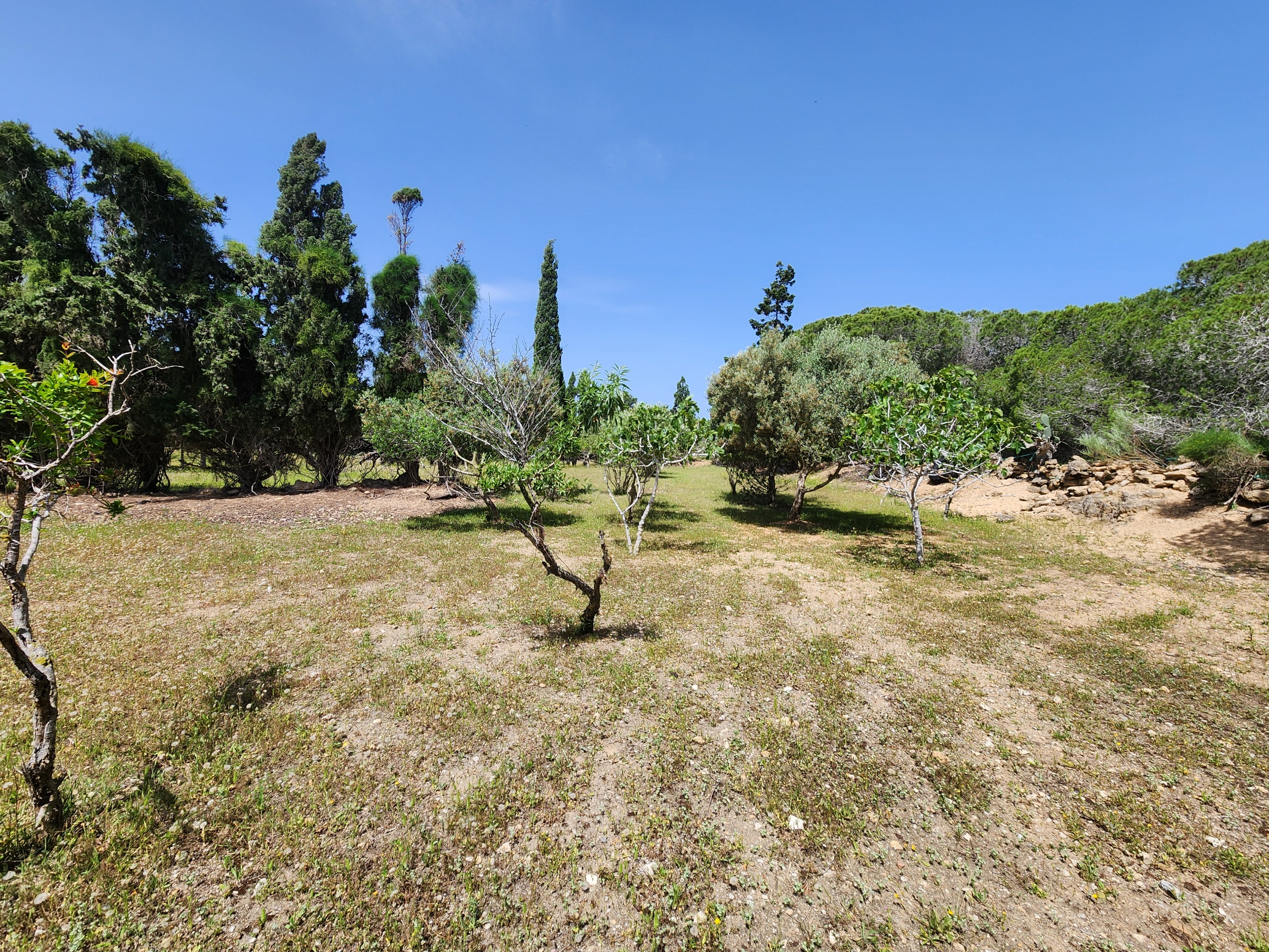 Terrain&nbsp;Terrain agricole
