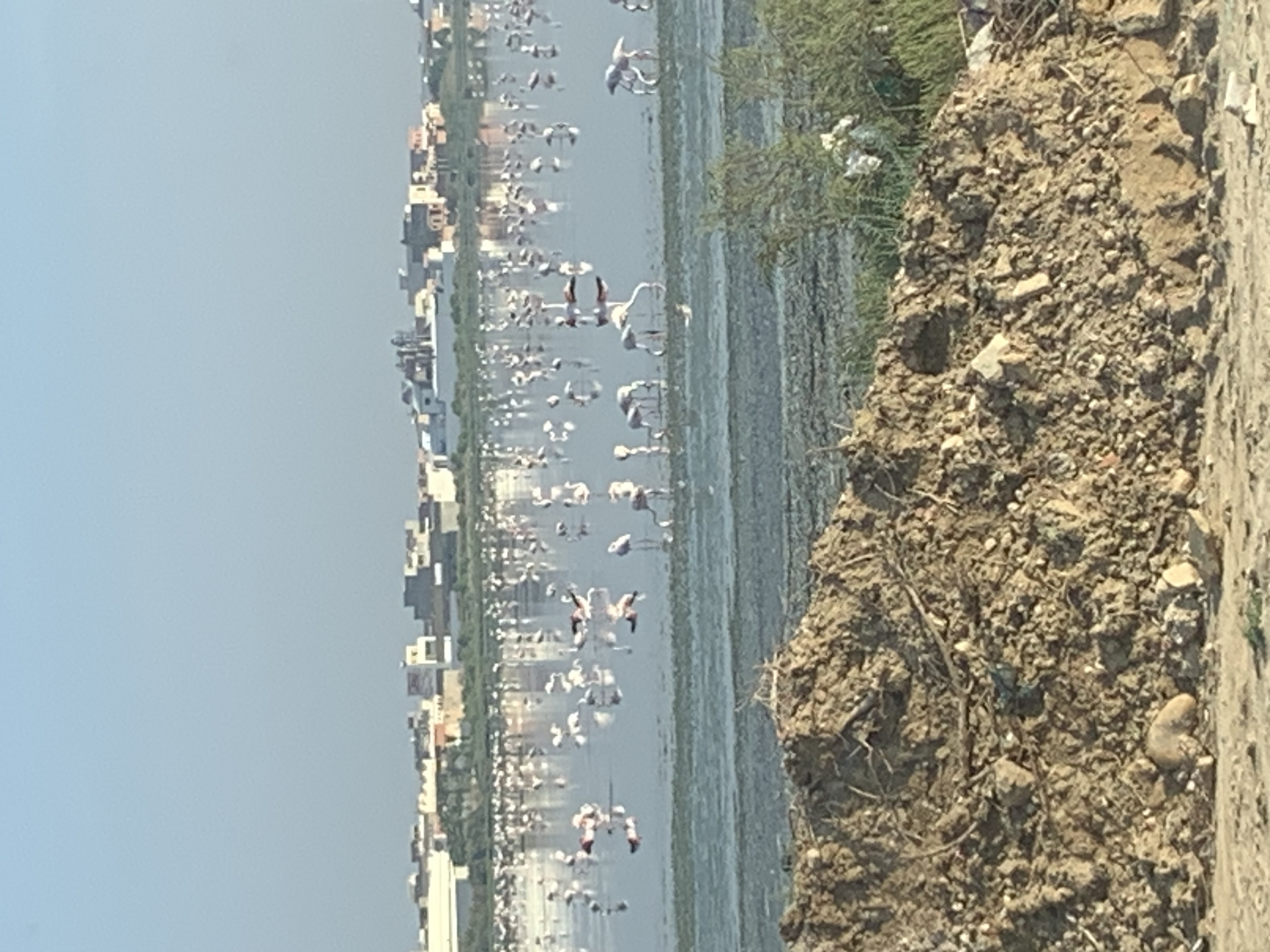 Location&nbsp;Appart. 4 pi�ces