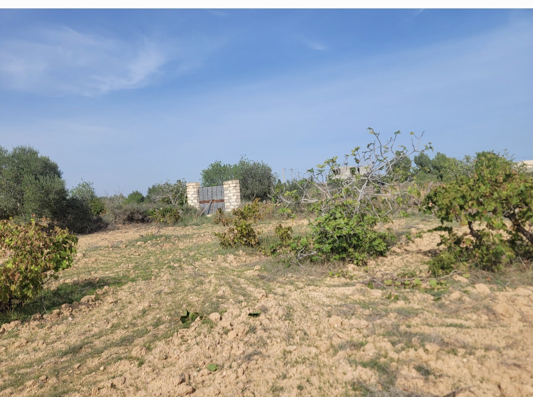 Terrain&nbsp;Terrain agricole