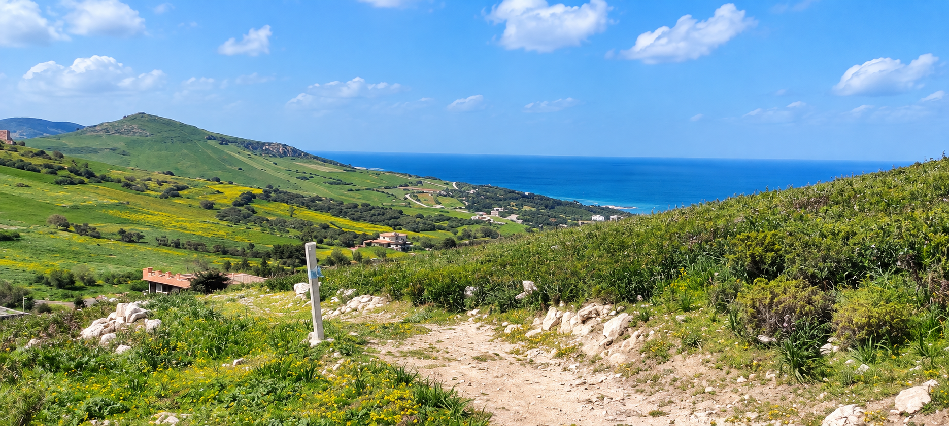 Bizerte Nord&nbsp;Bizerte&nbsp;Terrain&nbsp;Terrain agricole&nbsp;Ain berda bizerte