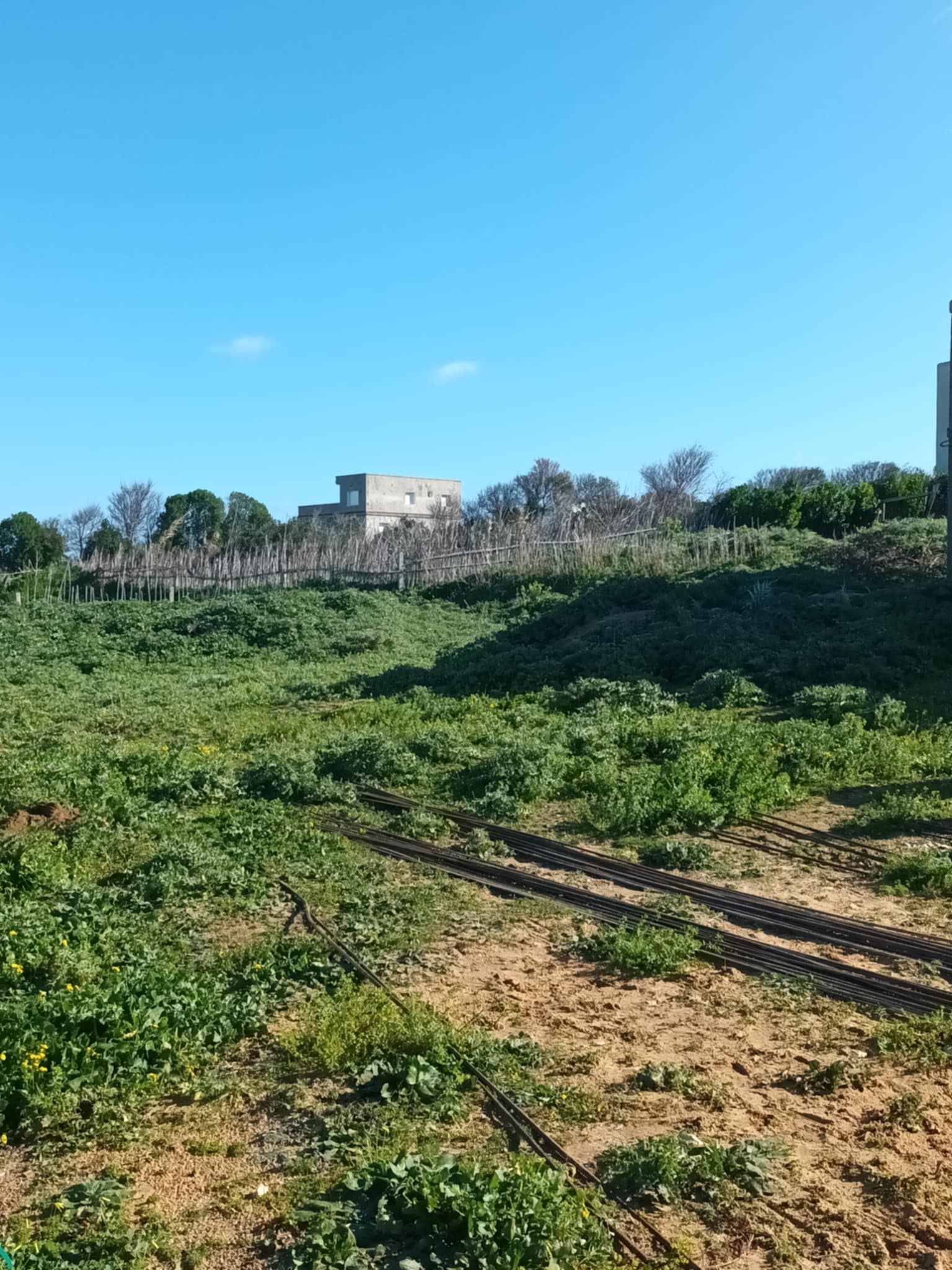 Bizerte Nord&nbsp;Bizerte&nbsp;Terrain&nbsp;Terrain nu&nbsp;Un terrain vue sur mer  situ� � nadhour bizerte
