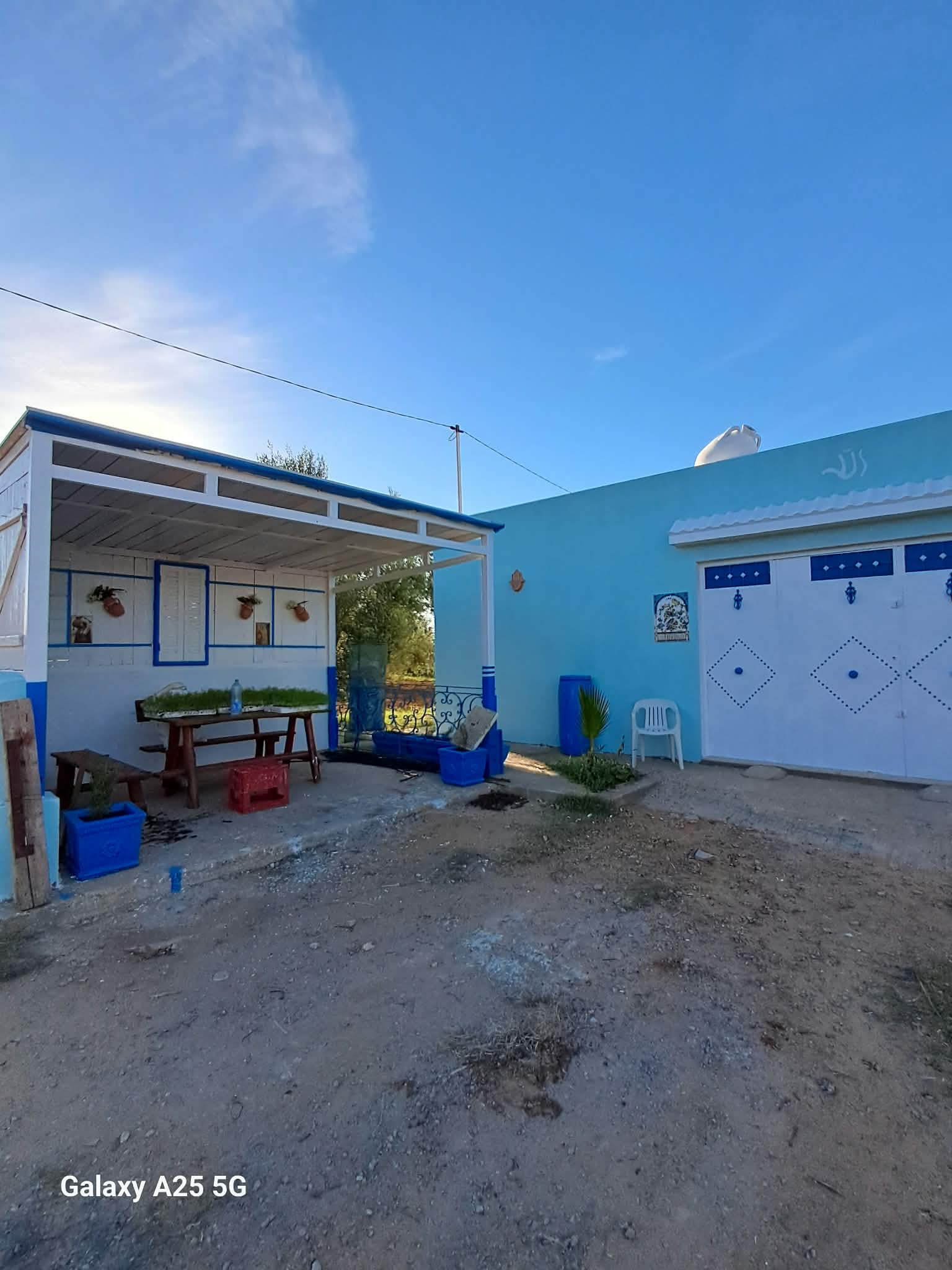Kalaa El Kebira&nbsp;Belaoum&nbsp;Terrain&nbsp;Terrain agricole&nbsp;Senia cl�tur� 2 hectares et 4000m � kalaa kebira