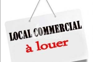 Location&nbsp;Appart. 1 pi�ce