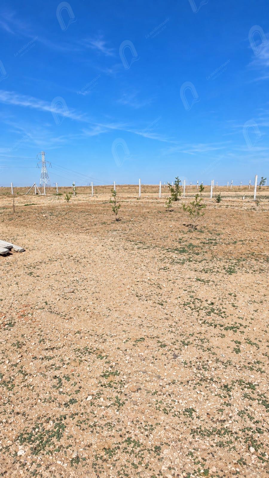 Borj El Amri&nbsp;Borj El Amri&nbsp;Vente&nbsp;Surfaces&nbsp;Un terrain de 1440m2 a borj el amri