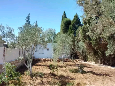 Ras Jebel&nbsp;Cite Kaa El Ballout&nbsp;Vente&nbsp;Maisons&nbsp;Maison s 2  terrain 310 m 2 route plage mami
