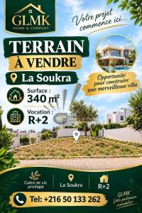 Vente&nbsp;Surfaces