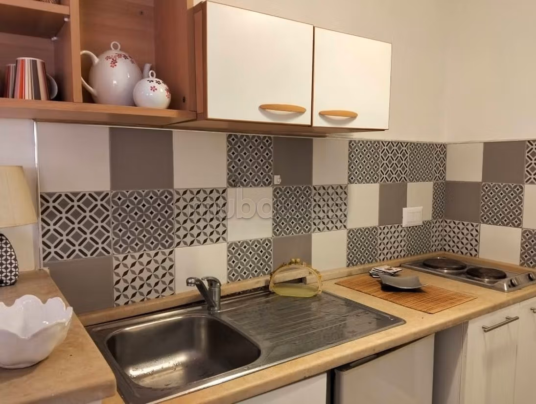 Location&nbsp;Appart. 1 pi�ce