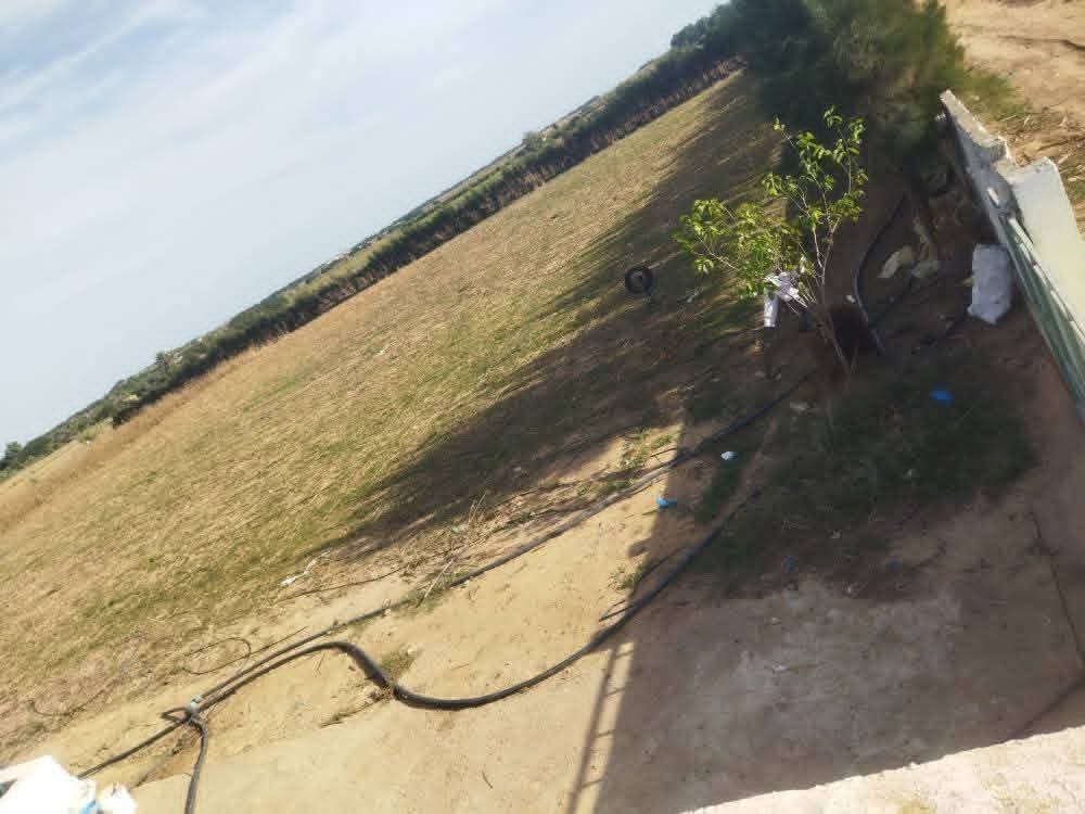 El Haouaria&nbsp;El Haouaria&nbsp;Terrain&nbsp;Terrain agricole&nbsp;Terrain agricole a el haouaria cap bon