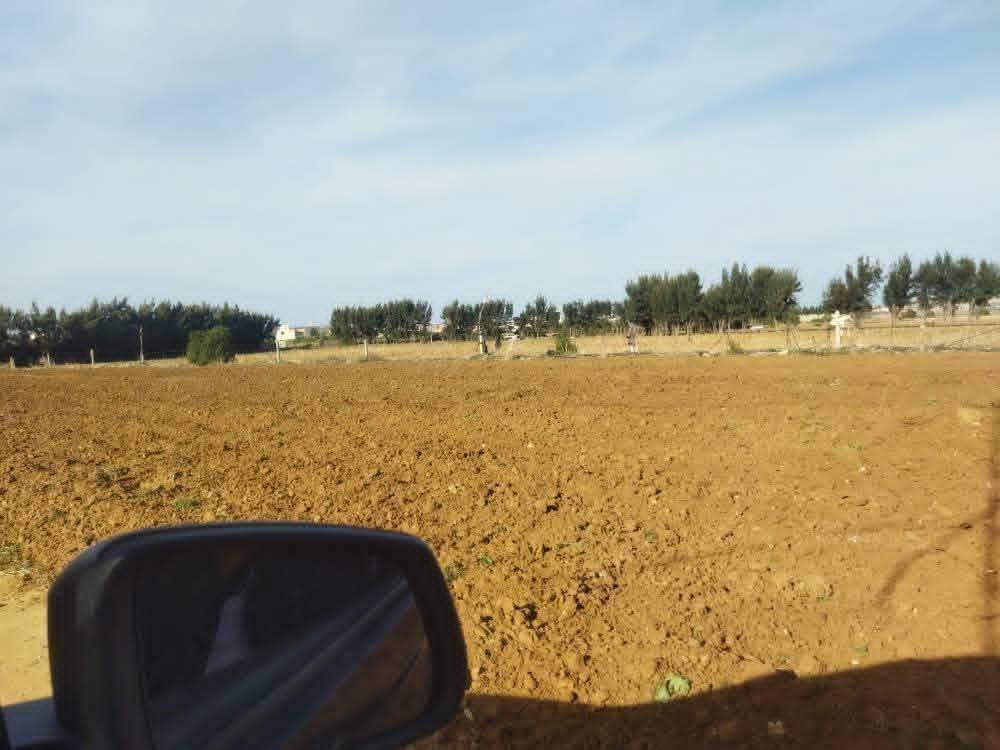 El Haouaria&nbsp;El Haouaria&nbsp;Terrain&nbsp;Terrain agricole&nbsp;Terrain agricole a el haouaria cap bon