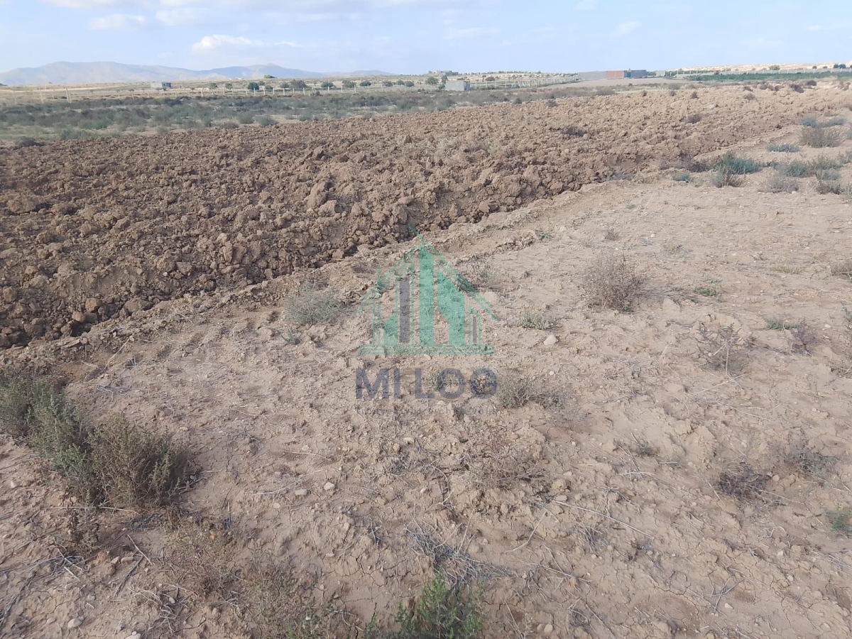 Terrain&nbsp;Terrain agricole