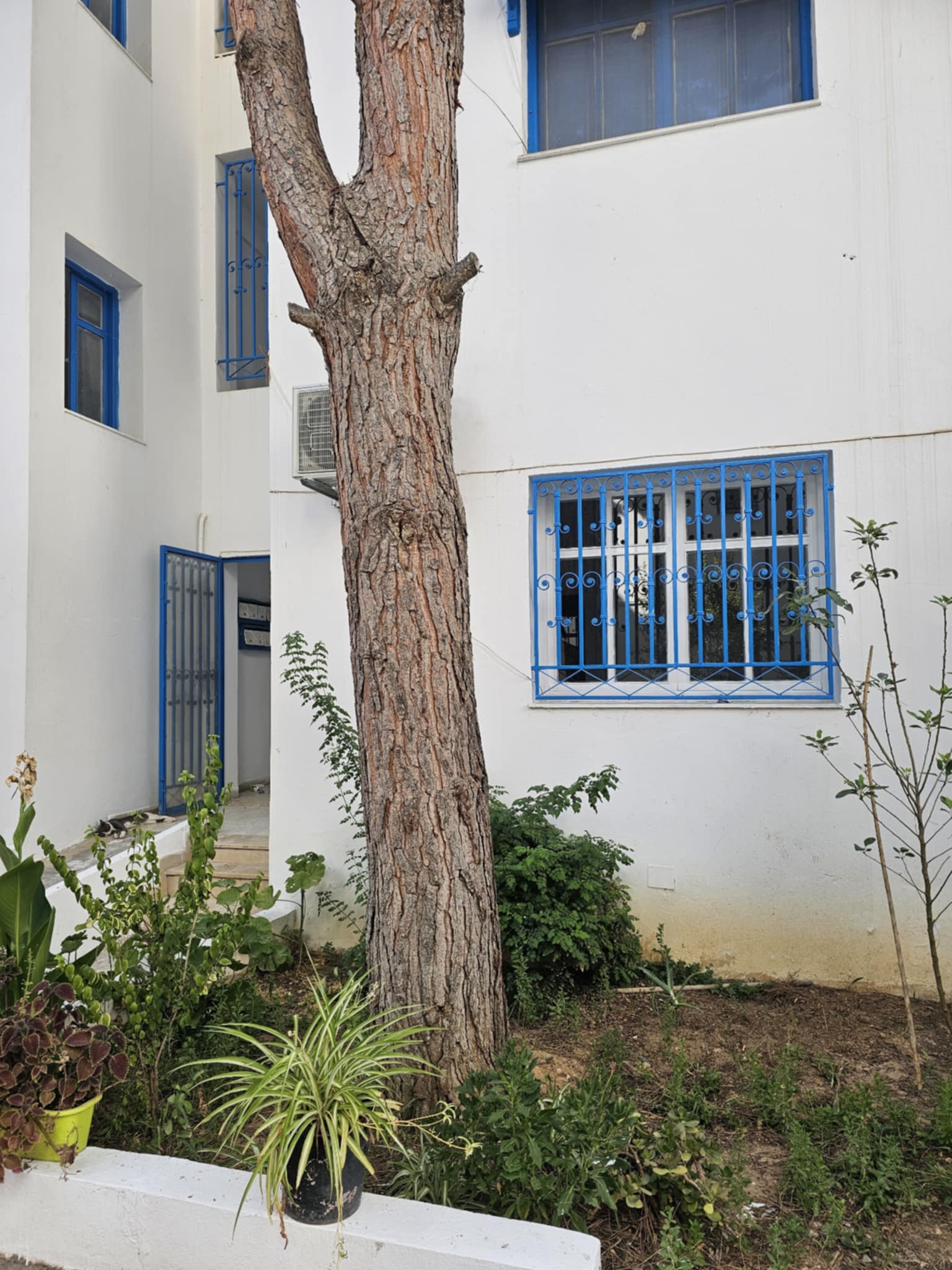 Location&nbsp;Appart. 3 pi�ces