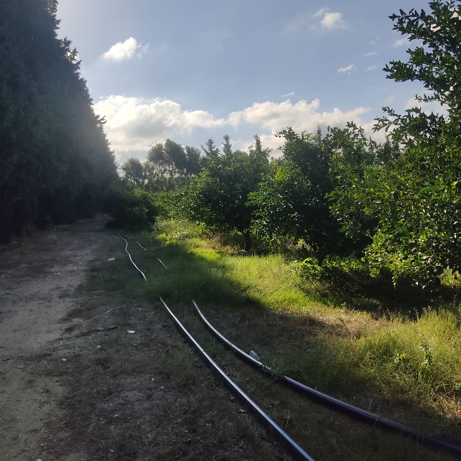 Soliman&nbsp;Soliman&nbsp;Terrain&nbsp;Terrain agricole&nbsp;24 hec menzel bouzelfa