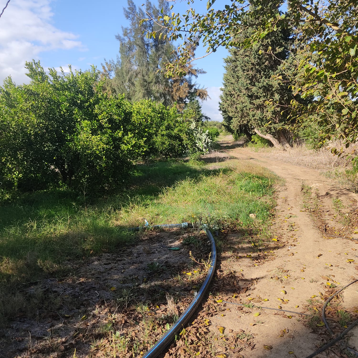 Terrain&nbsp;Terrain agricole