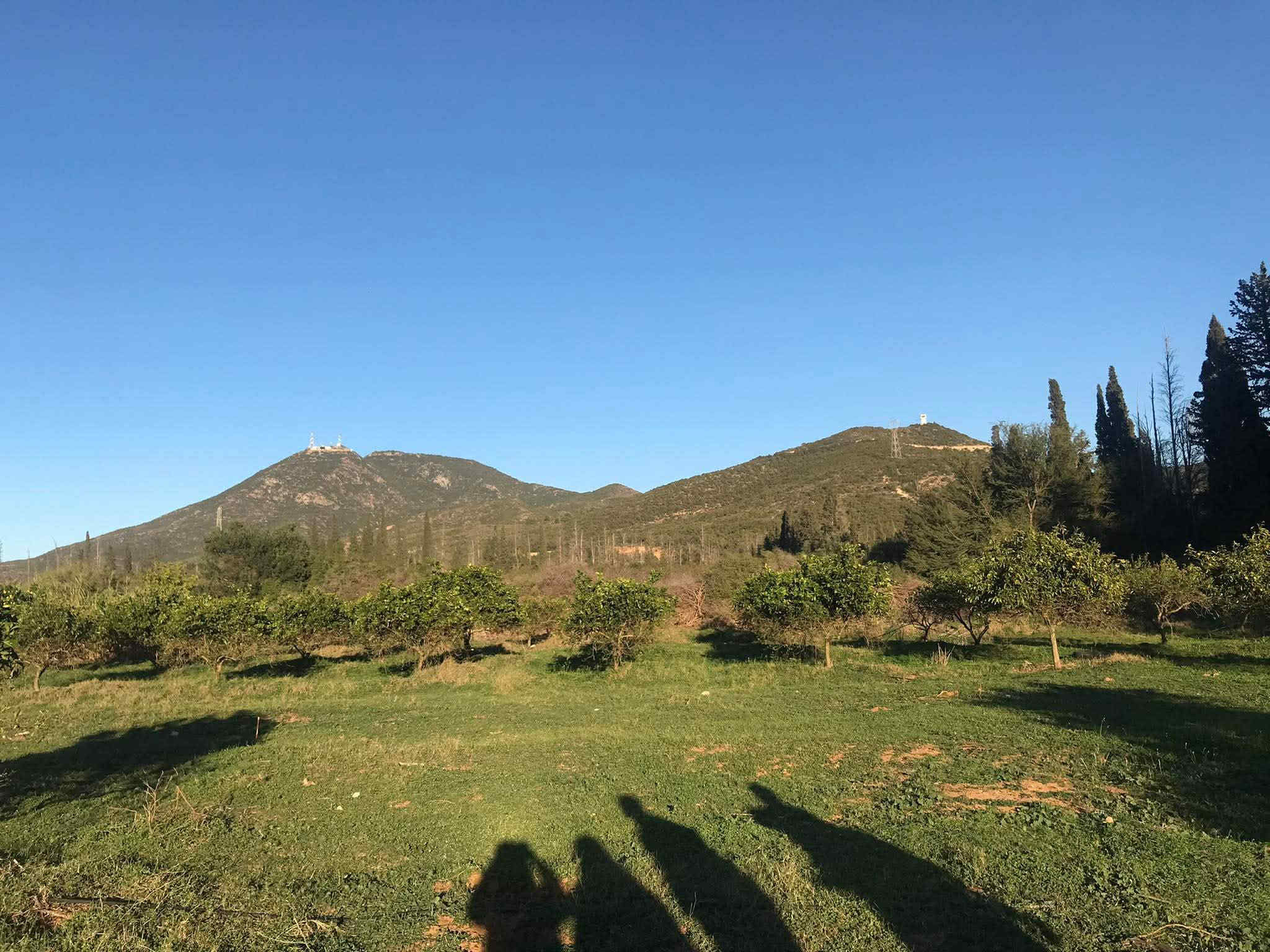 Terrain&nbsp;Terrain nu