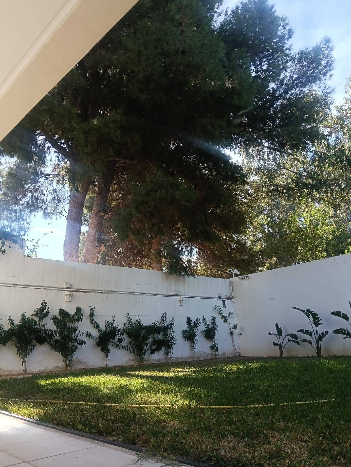 Location&nbsp;Appart. 2 pi�ces