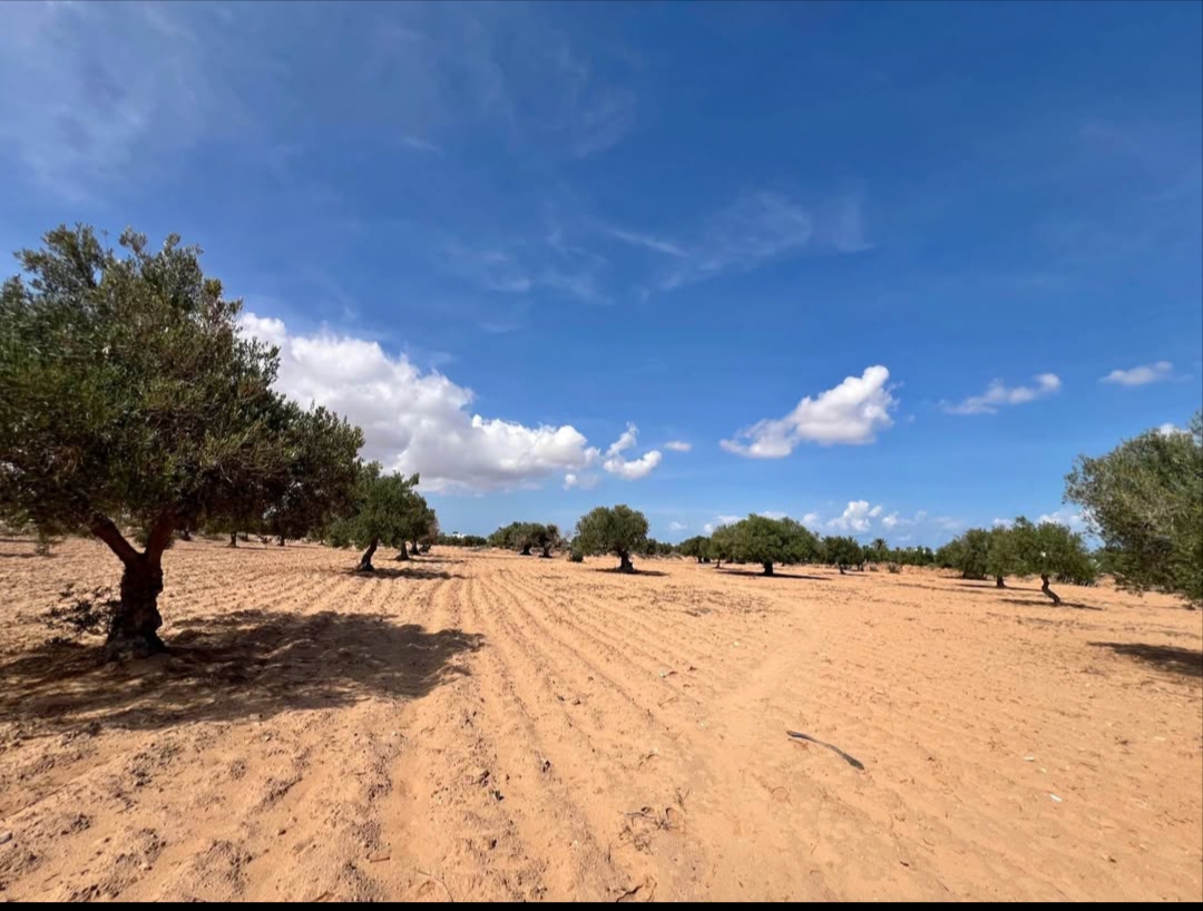 Terrain&nbsp;Terrain agricole