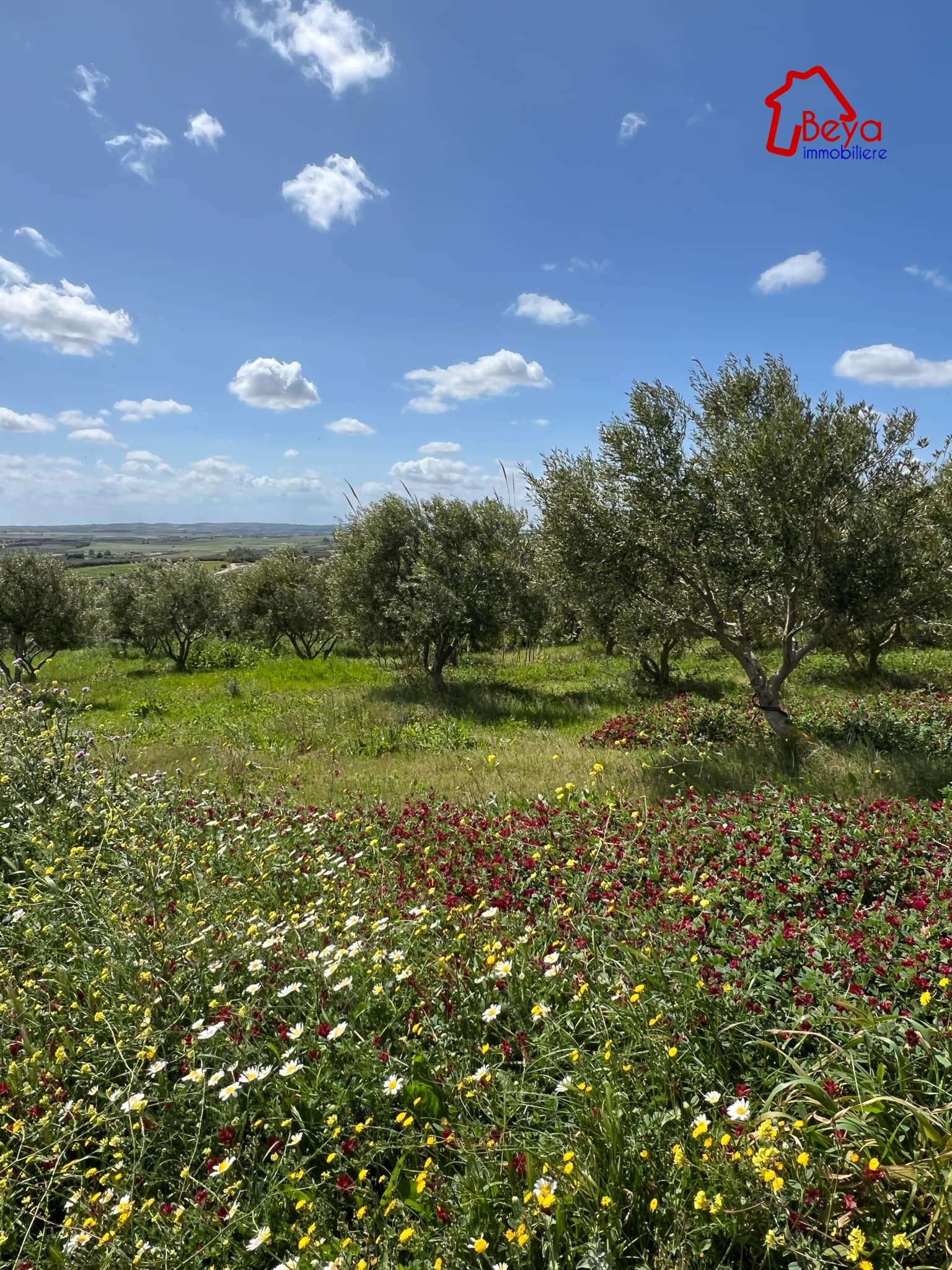 Terrain&nbsp;Terrain agricole