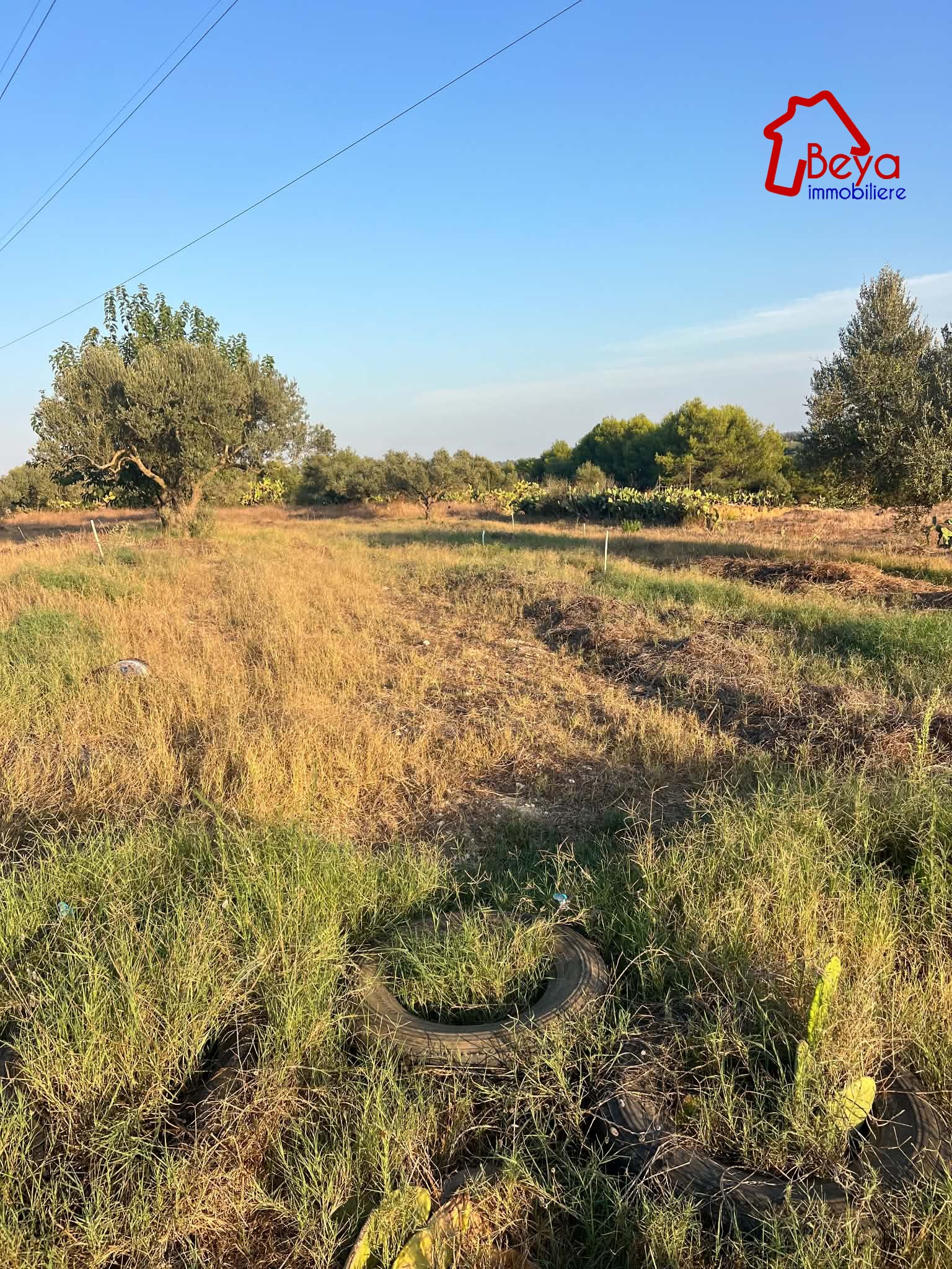 Terrain&nbsp;Terrain agricole